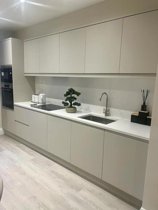 New Flat In Holland Park Leilighet London Eksteriør bilde